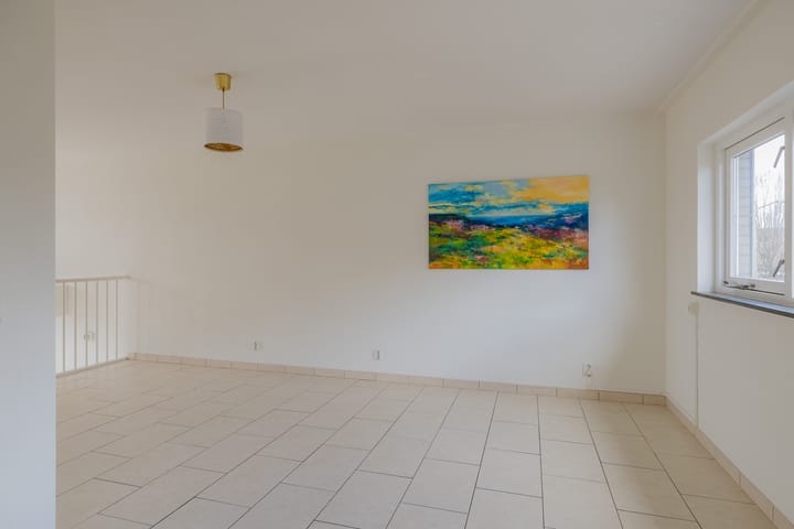 Foto 21 van L. Springerstraat 88