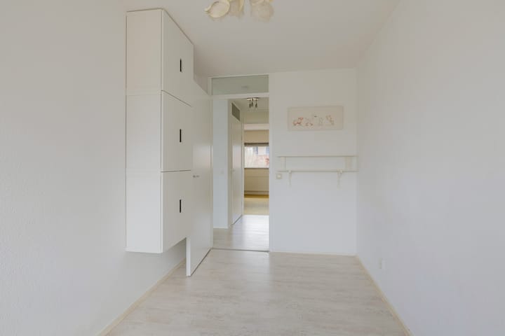 Foto 24 van L. Springerstraat 88