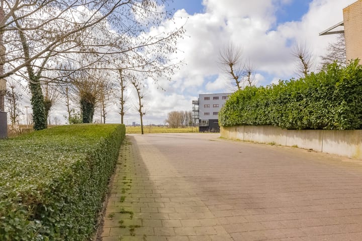 Foto 37 van L. Springerstraat 88