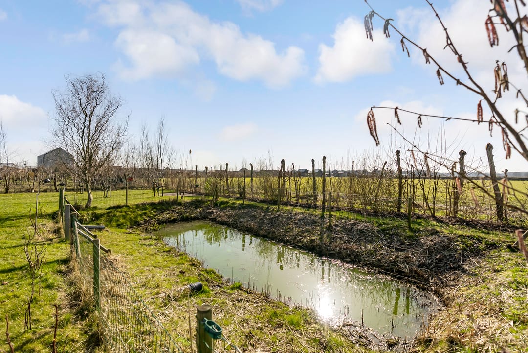 Foto 46 van Frederik van Eedenweg 58