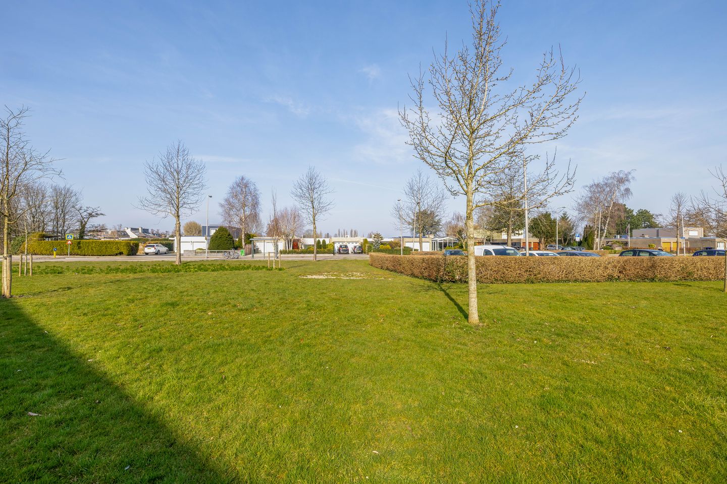 Foto 10 van Jupiter 49