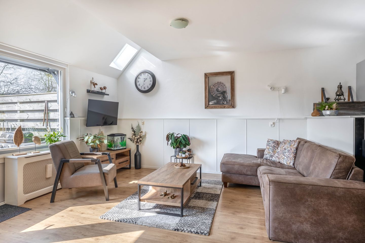 Foto 14 van Jupiter 49