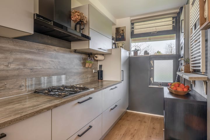 Foto 18 van Jupiter 49