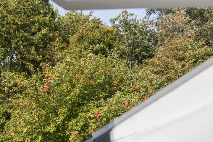 Foto 26 van Bosweg 21