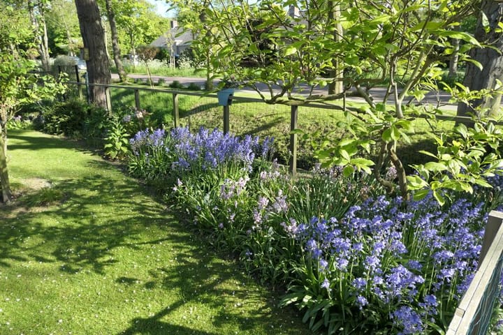 Foto 37 van Bosweg 21