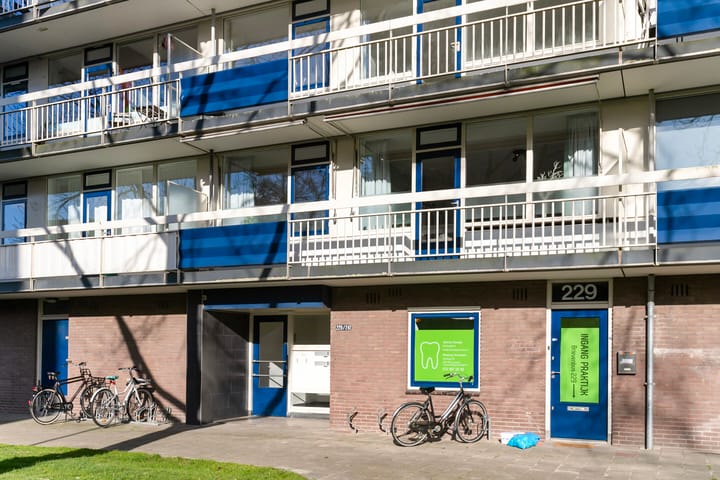 Foto 5 van Wiekslag 231