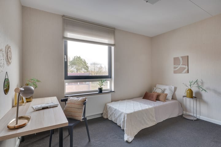 Foto 15 van De Vliegerstraat 82