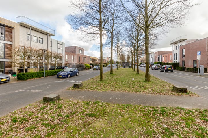 Foto 45 van Oosterschelde 61