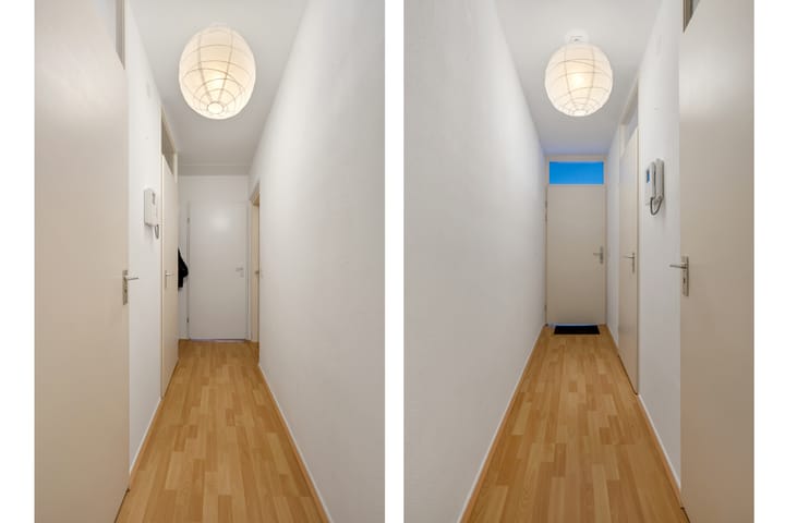 Foto 14 van Springweg 440