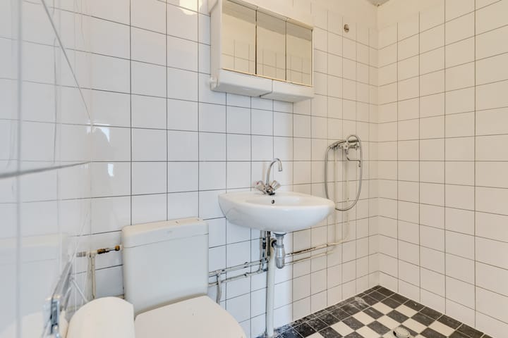 Foto 42 van Laan van Nieuw-Oost-Indië 112