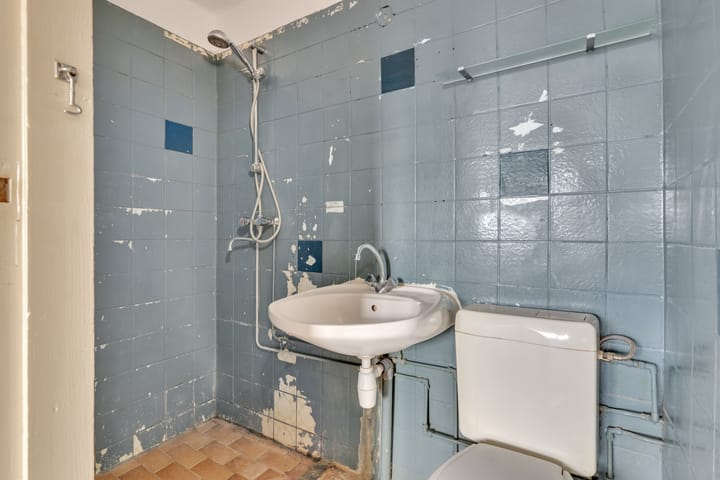 Foto 49 van Laan van Nieuw-Oost-Indië 112