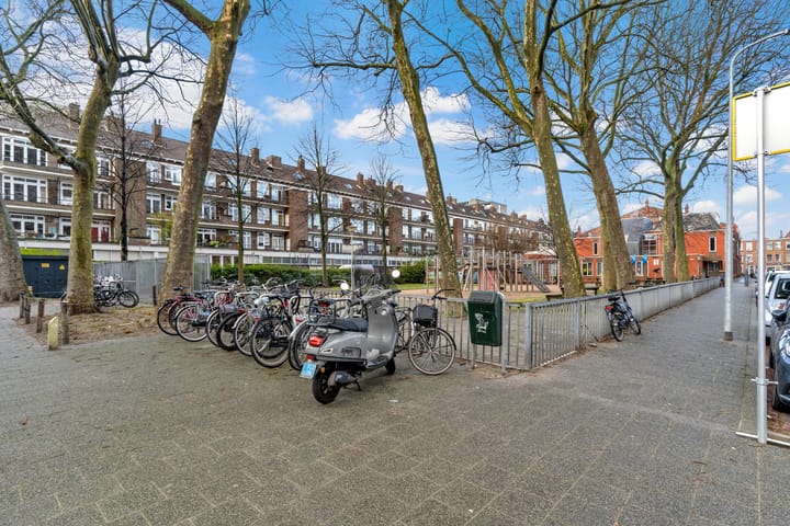 Foto 56 van Laan van Nieuw-Oost-Indië 112