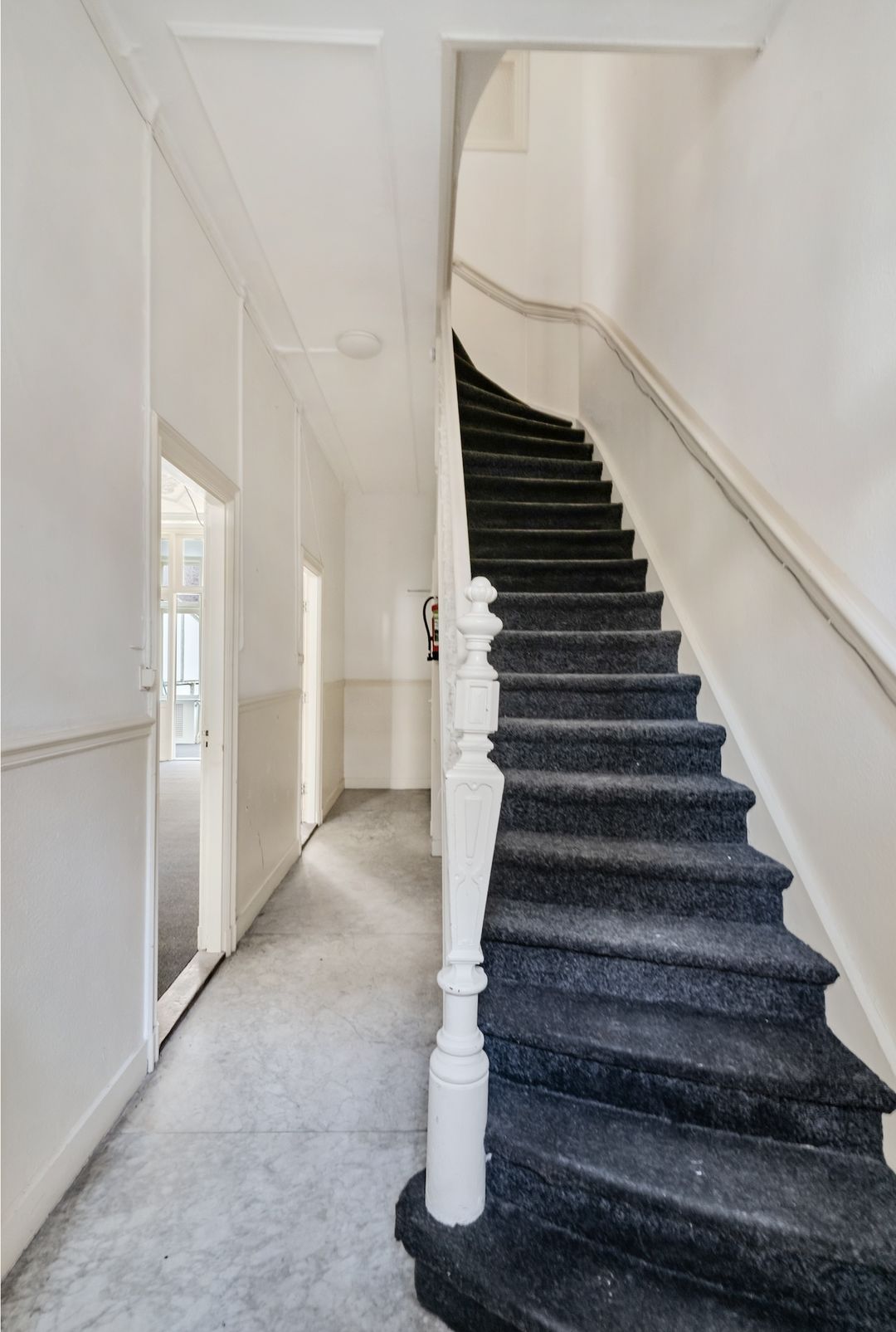 Foto 58 van Laan van Nieuw-Oost-Indië 112