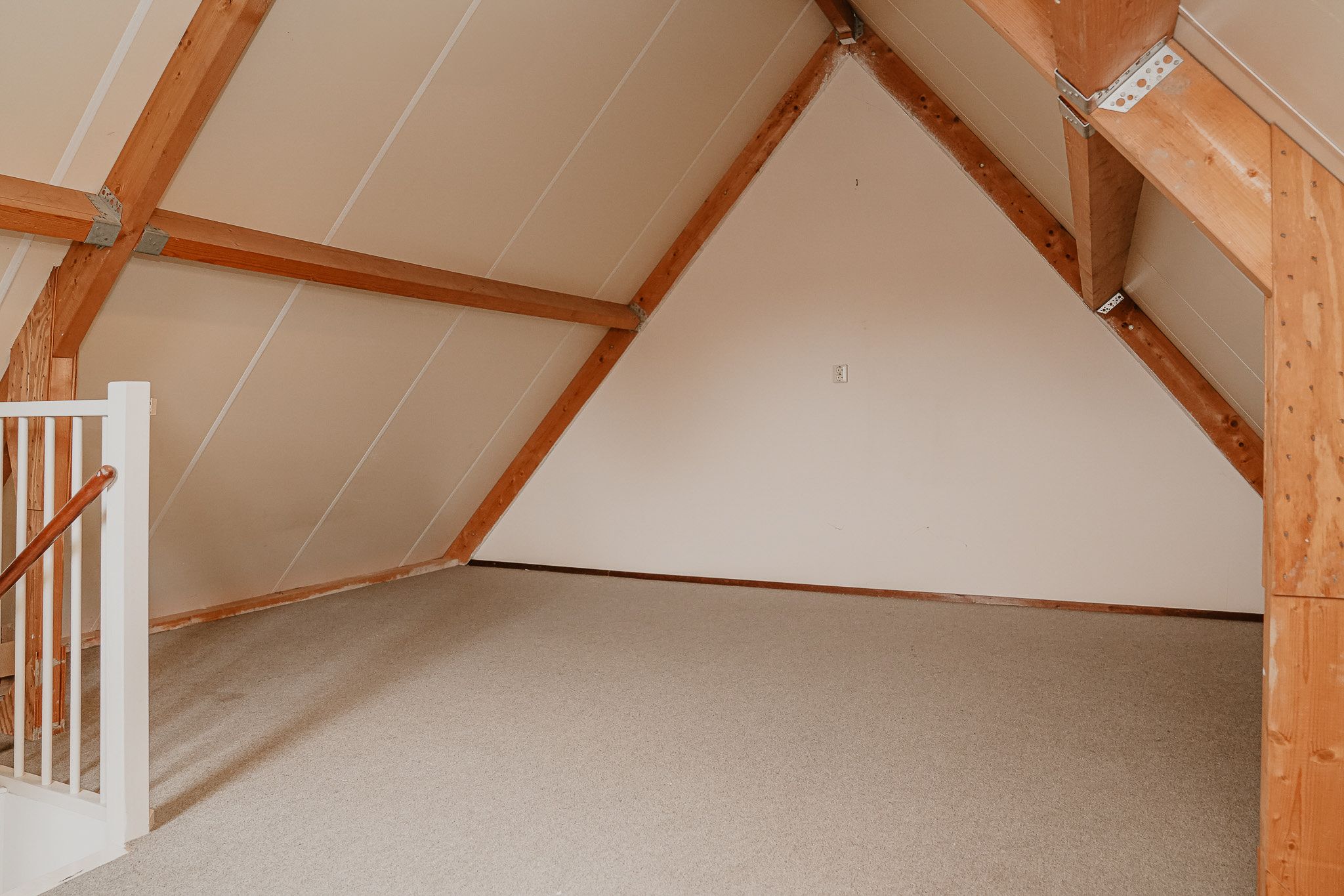 Foto 24 van Donkerbos 24