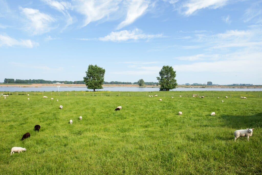 Foto 38 van Donkerbos 24