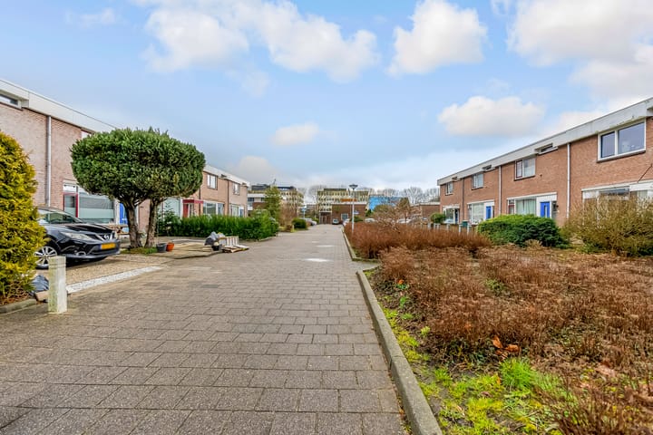 Foto 28 van Botter 19 6