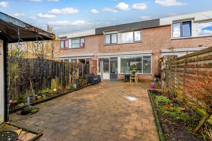 Foto 24 van Botter 19 6