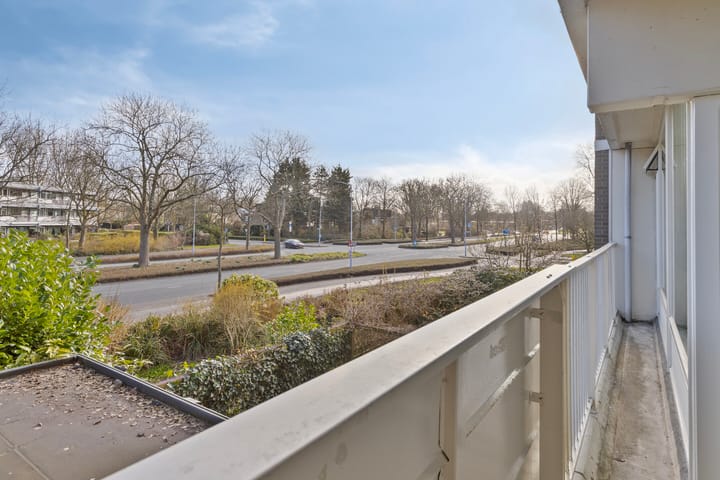 Foto 20 van Tulpentuin 29