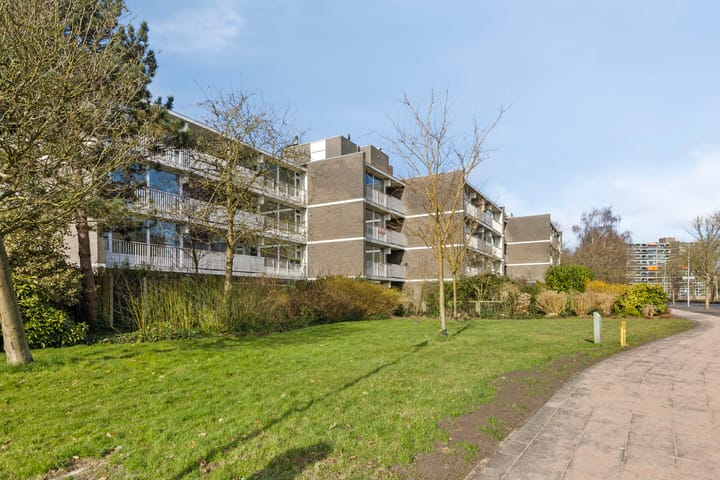 Foto 23 van Tulpentuin 29