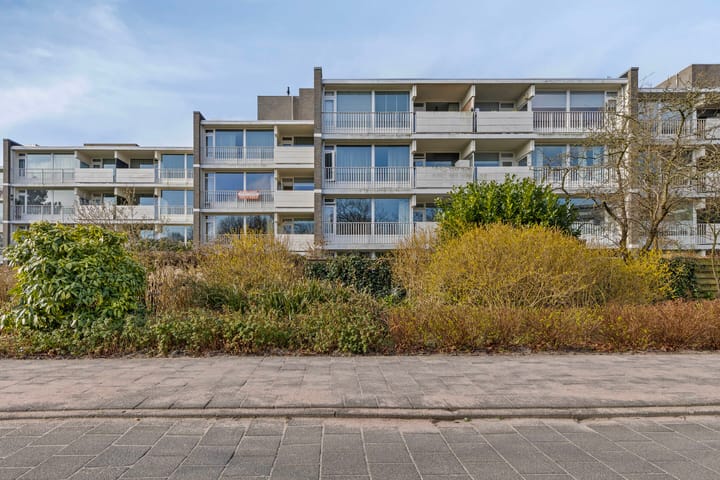 Foto 24 van Tulpentuin 29