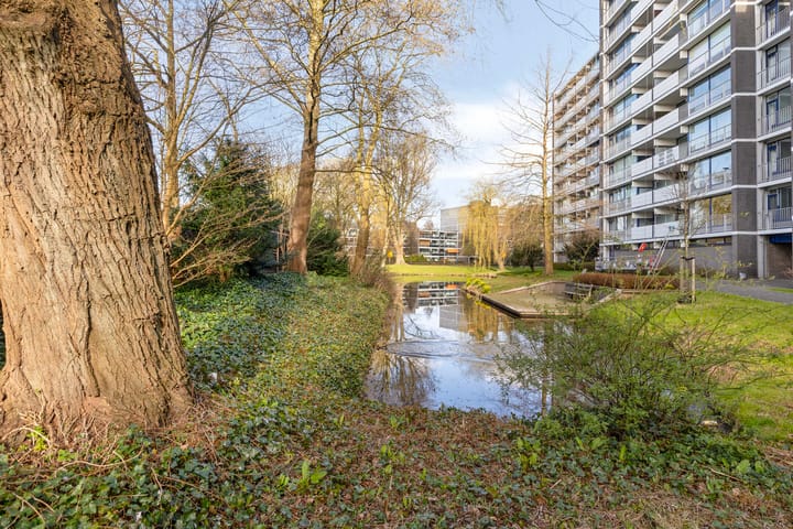 Foto 25 van Tulpentuin 29