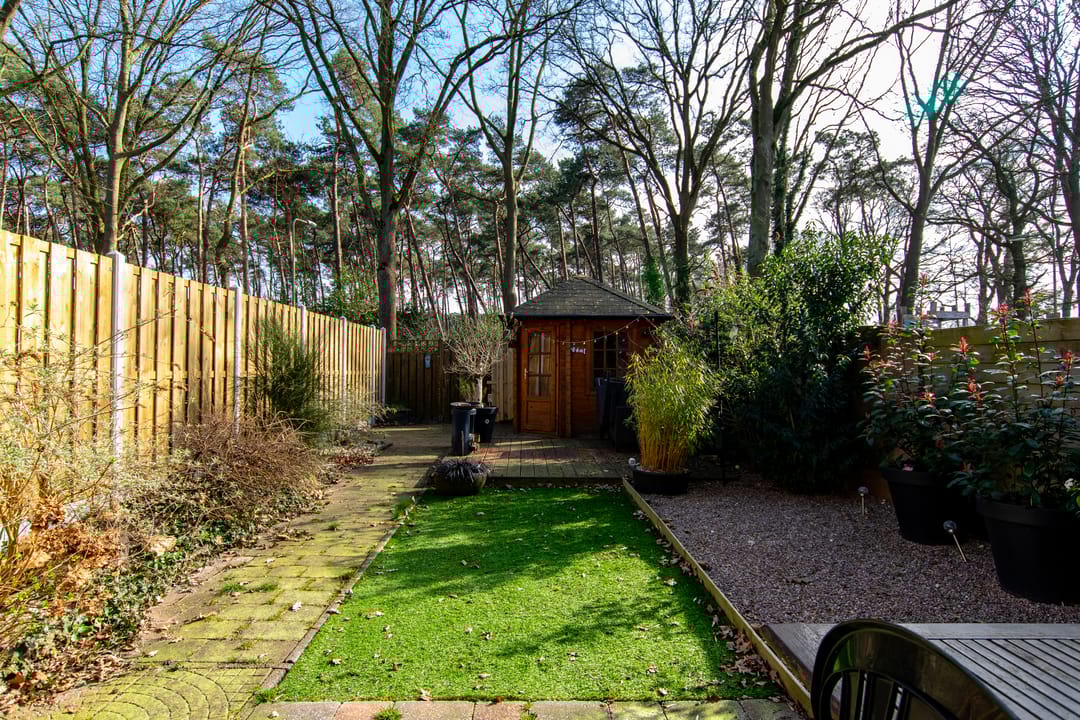 Foto 31 van Moriaansdreef 50