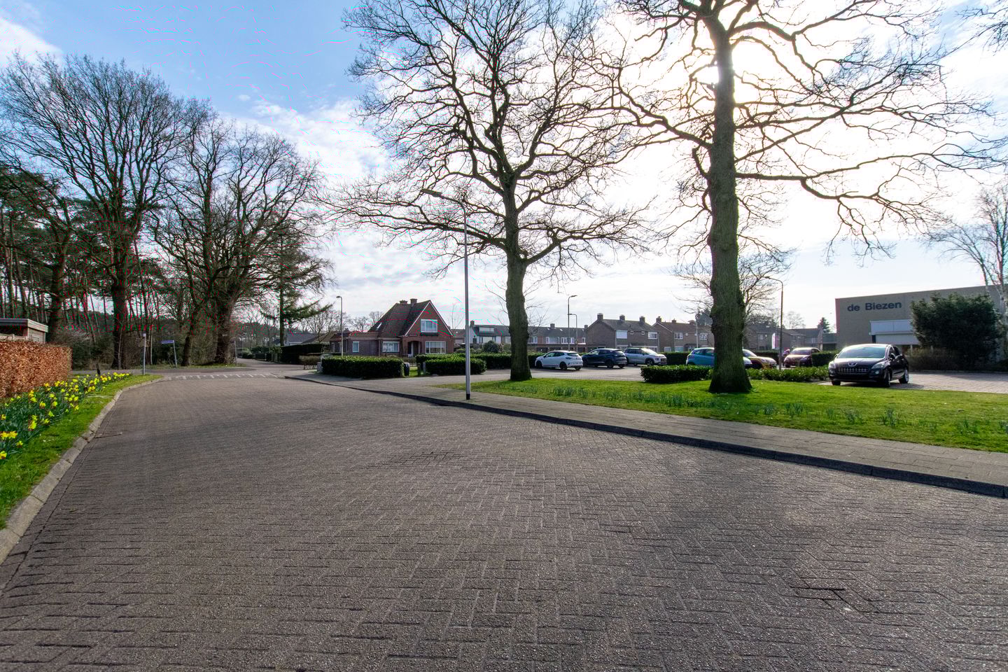 Foto 40 van Moriaansdreef 50