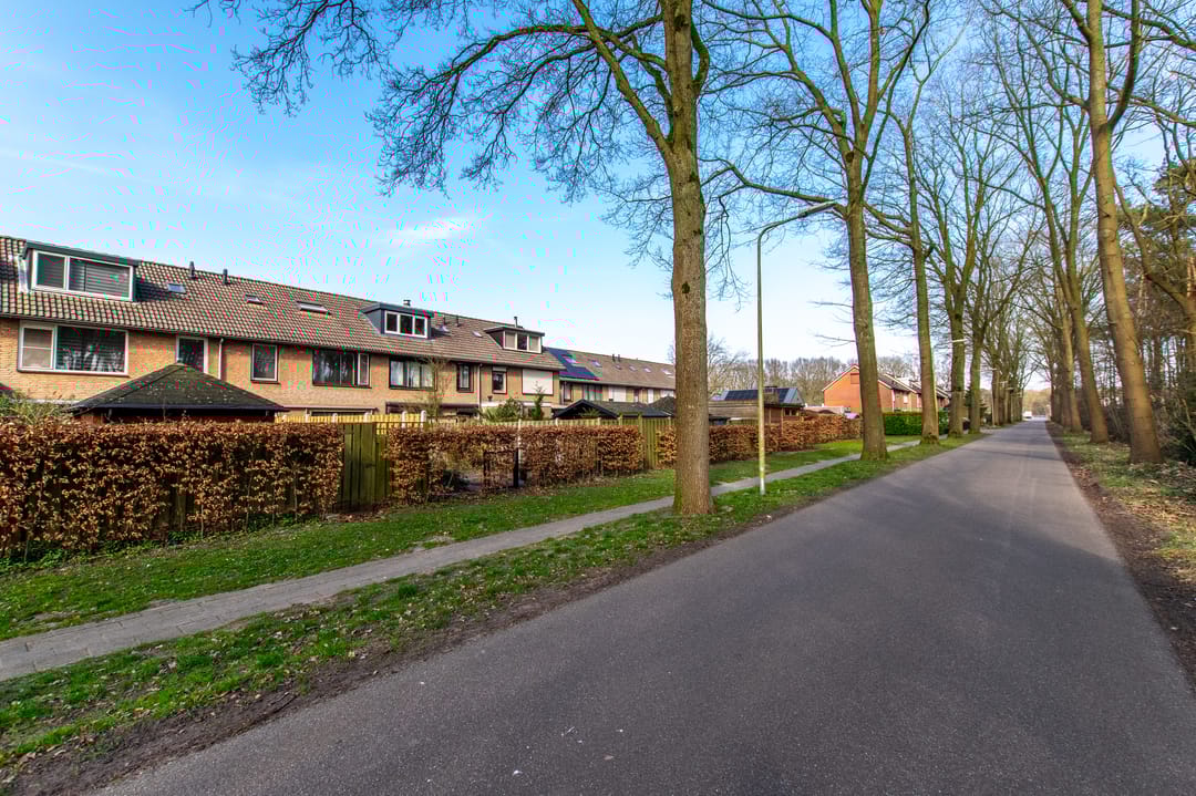 Foto 41 van Moriaansdreef 50