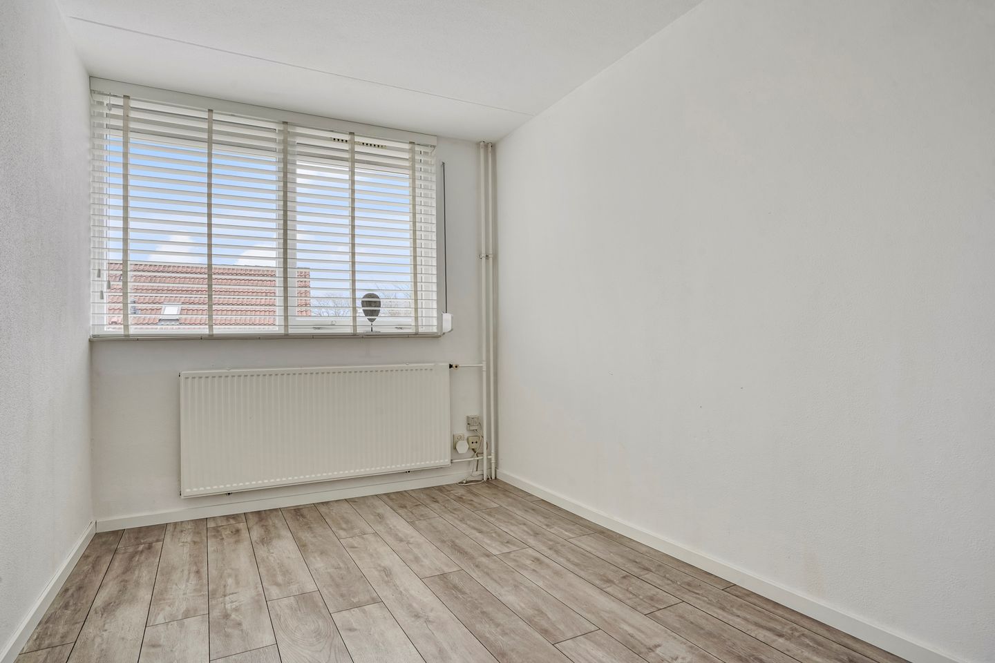 Foto 19 van Dintel 19