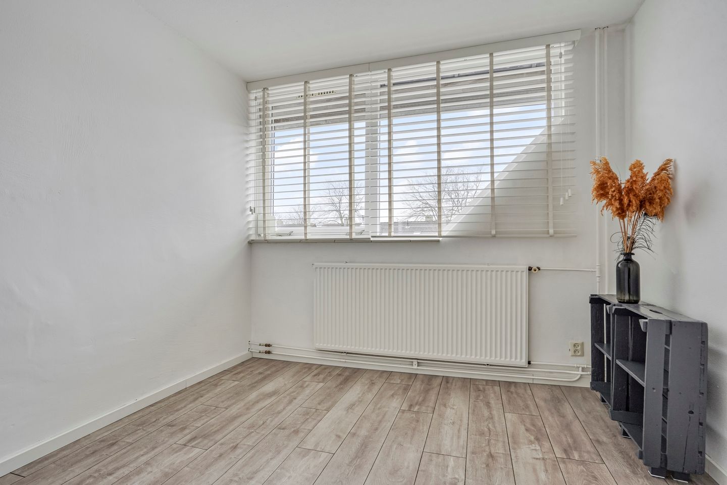 Foto 20 van Dintel 19