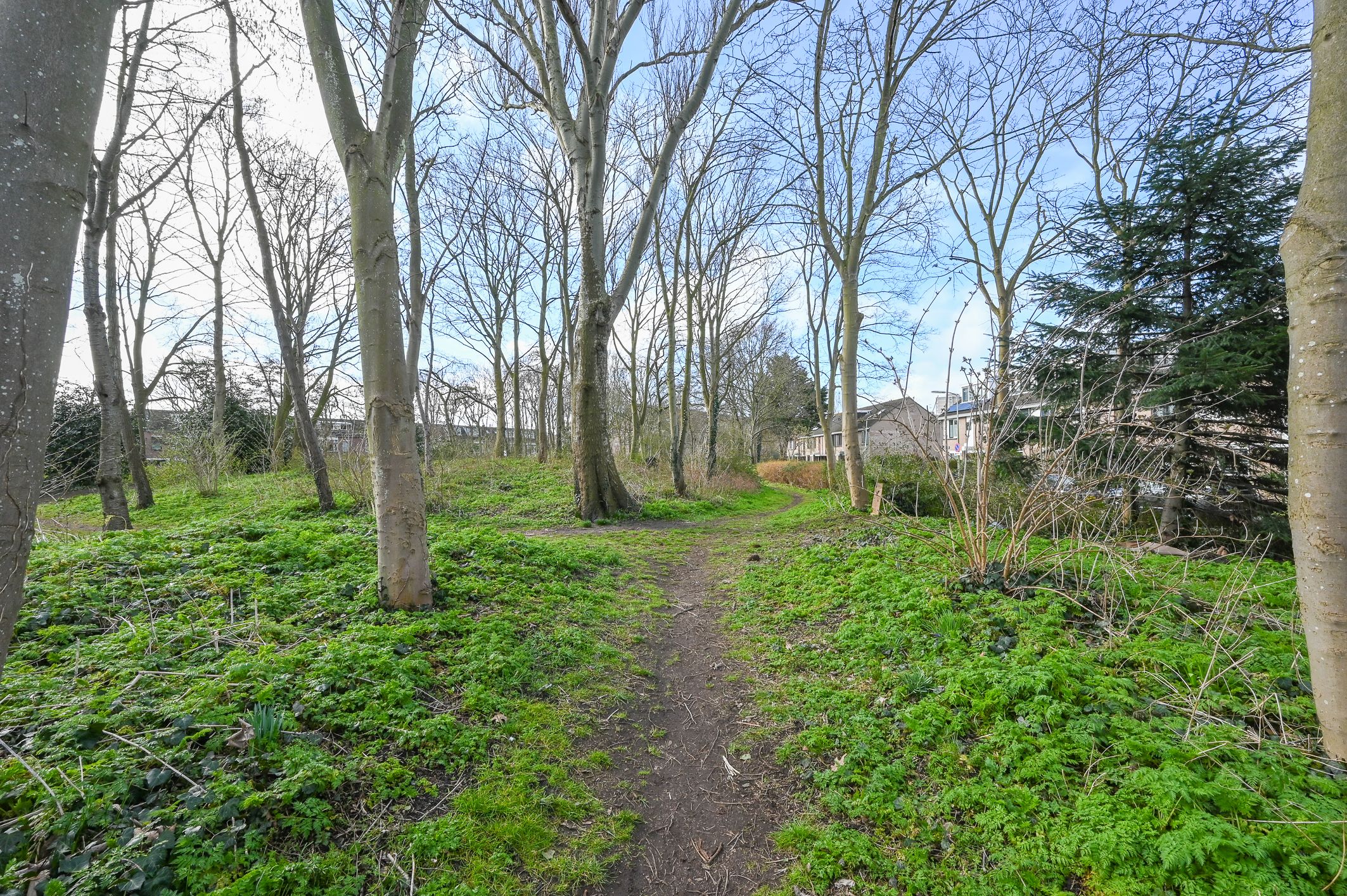 Foto 45 van J. Boezerstraat 86