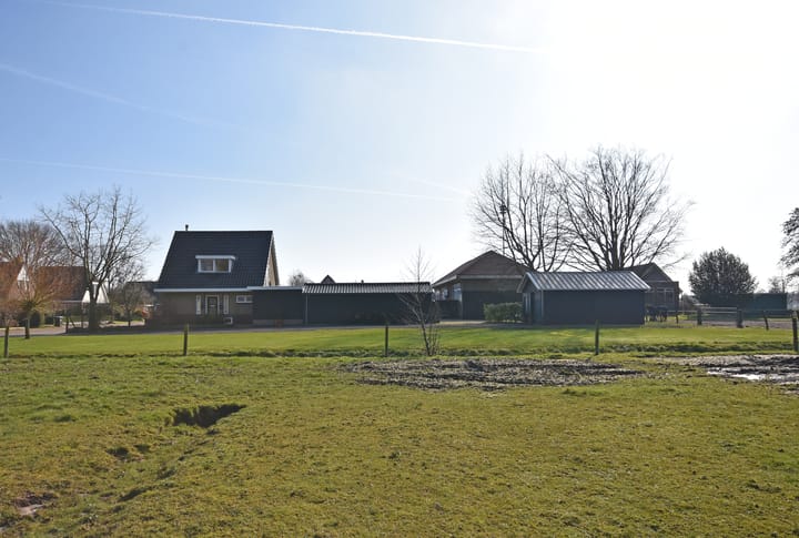 Foto 5 van Master de Jongwei 21