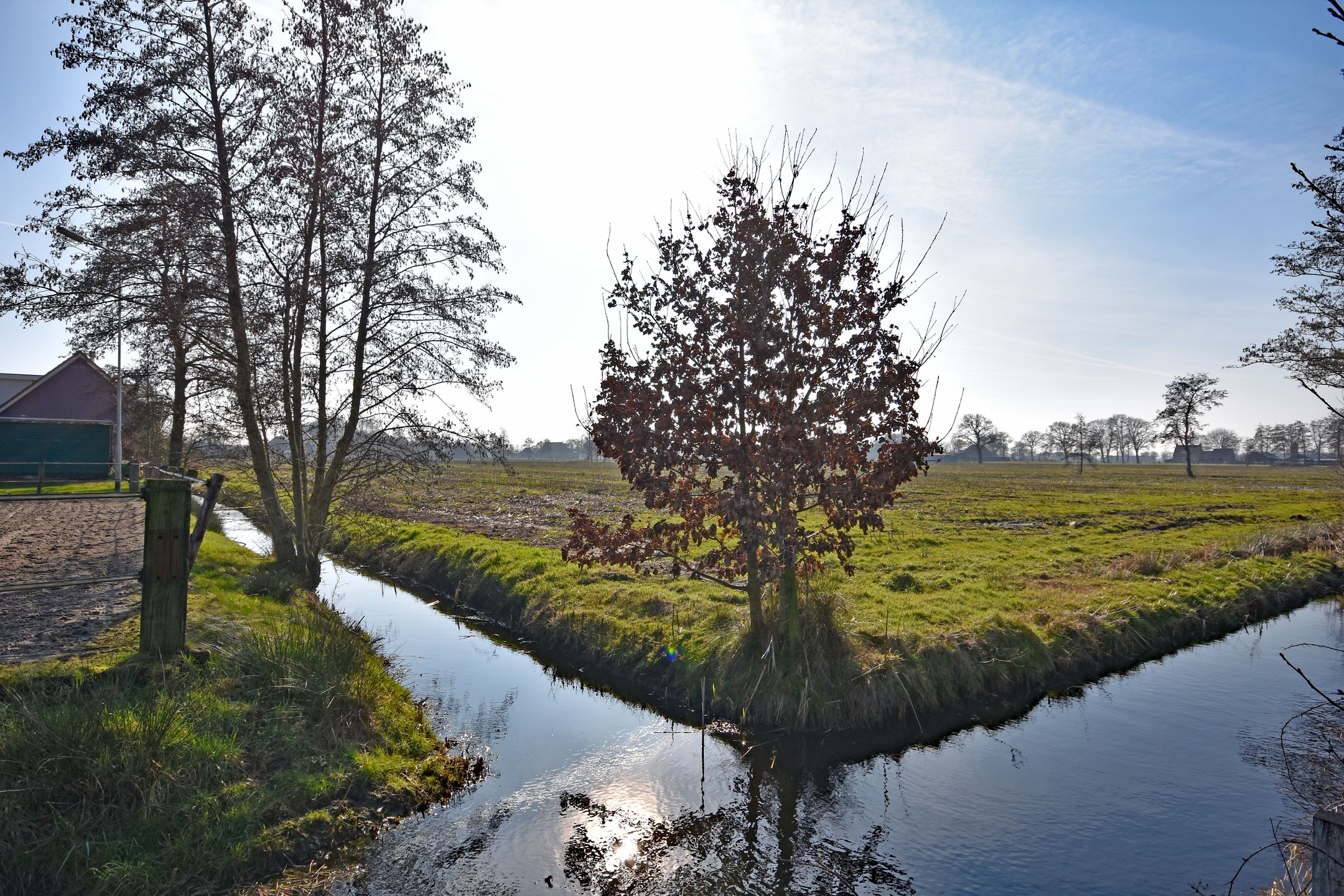 Foto 6 van Master de Jongwei 21