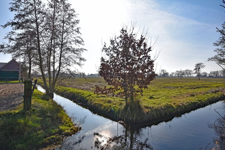 Foto 6 van Master de Jongwei 21