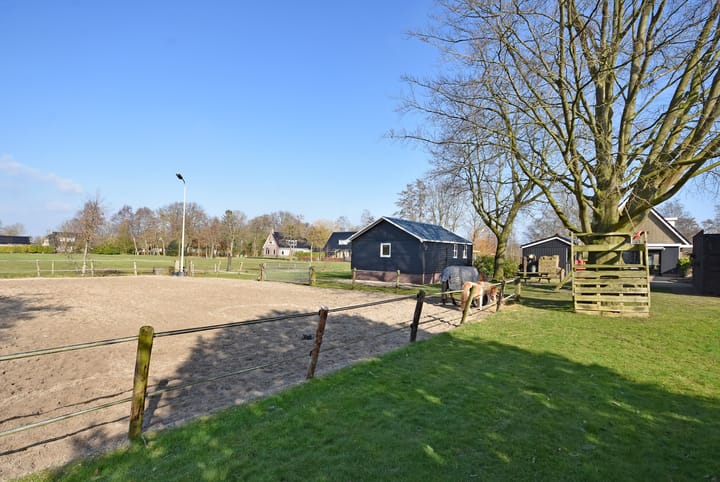 Foto 14 van Master de Jongwei 21