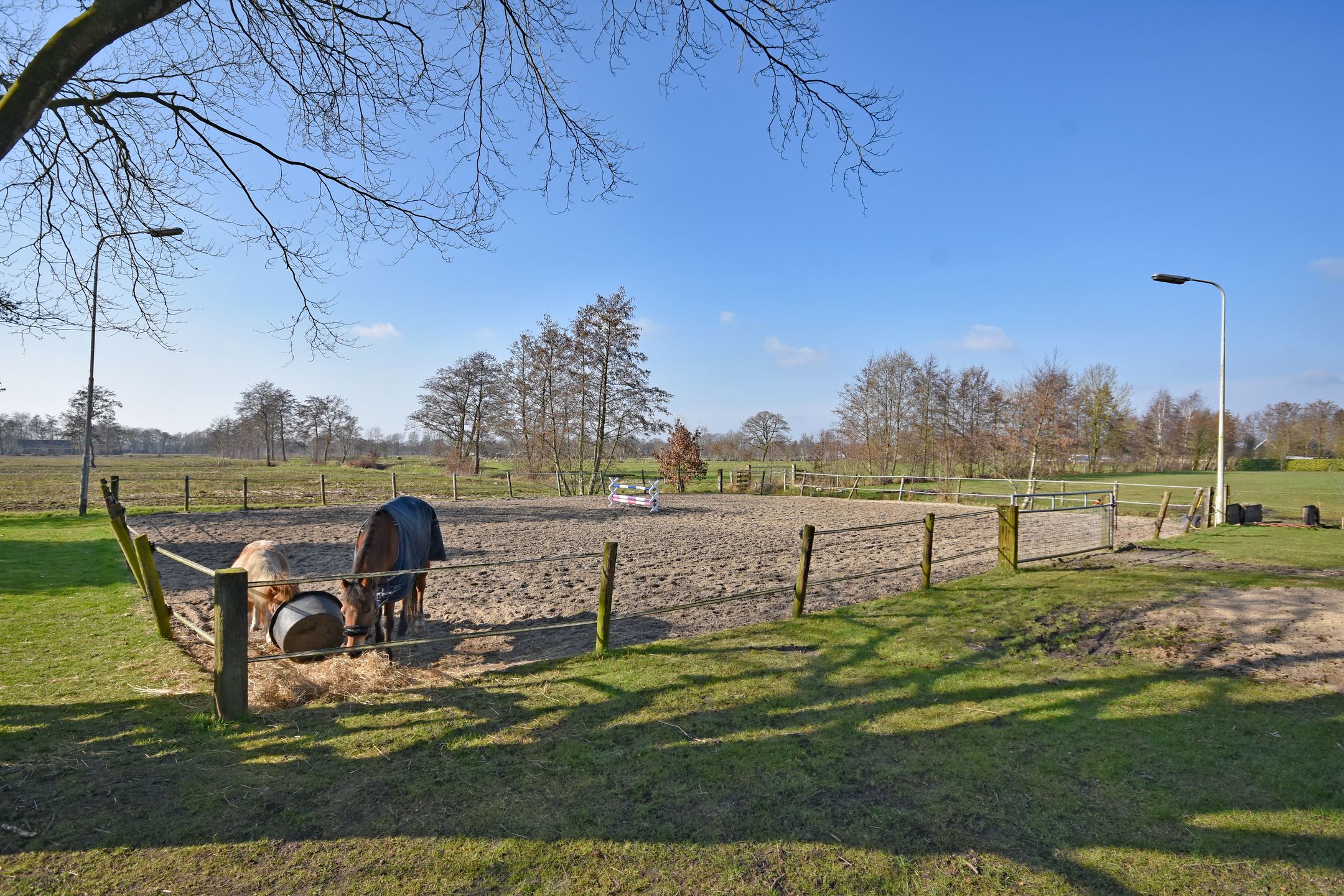 Foto 15 van Master de Jongwei 21