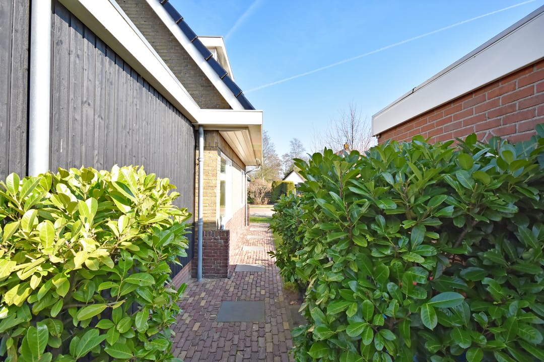 Foto 22 van Master de Jongwei 21