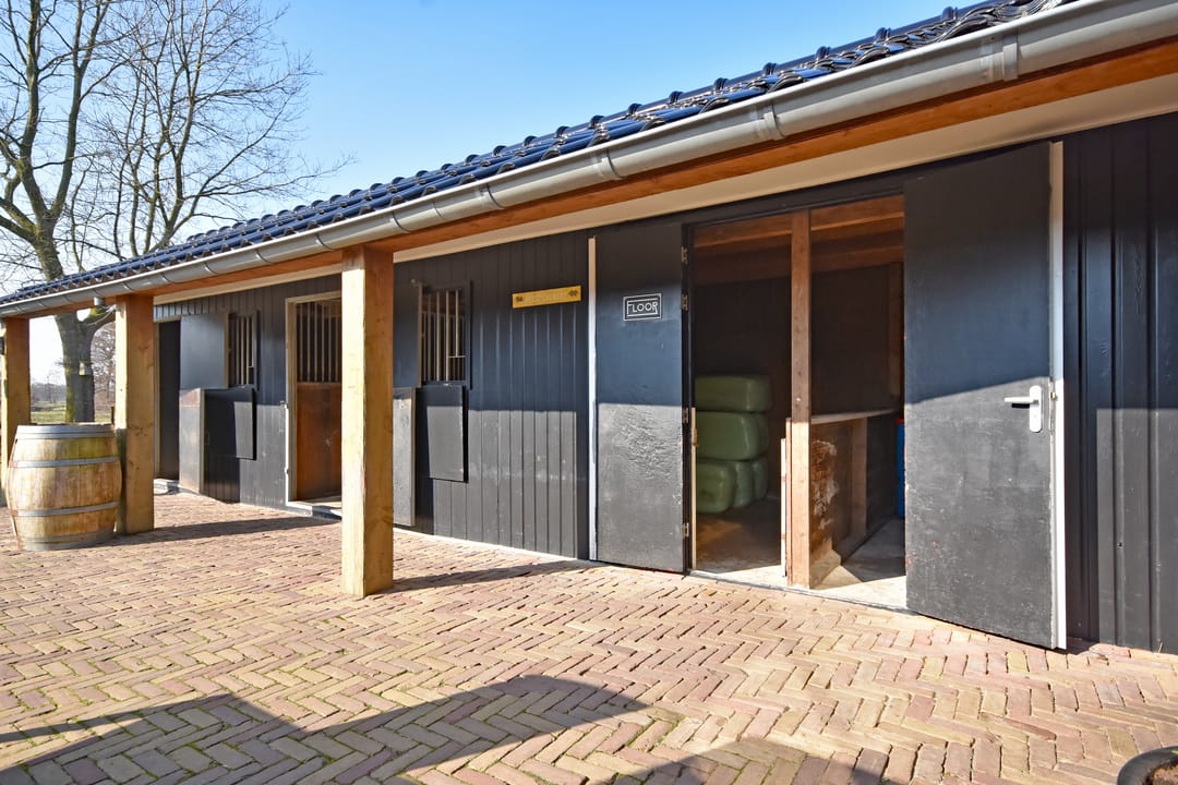 Foto 26 van Master de Jongwei 21