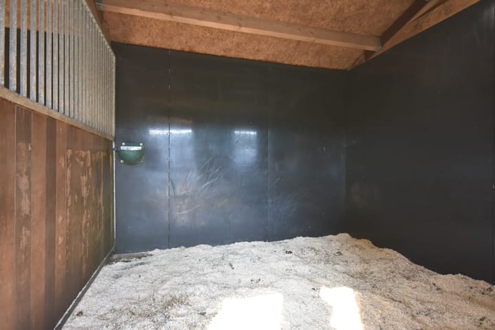 Foto 30 van Master de Jongwei 21