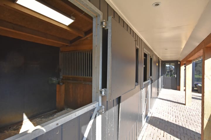 Foto 29 van Master de Jongwei 21