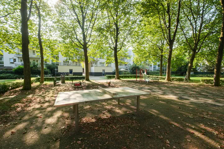 Foto 26 van Daniël Defoelaan 40