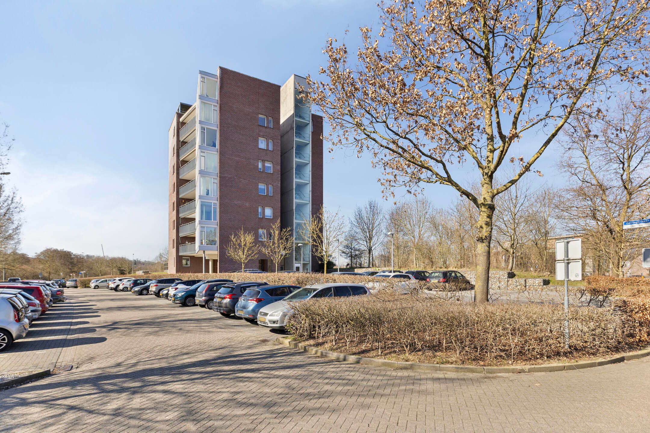 Foto 6 van Oeslingerbaan 103-D