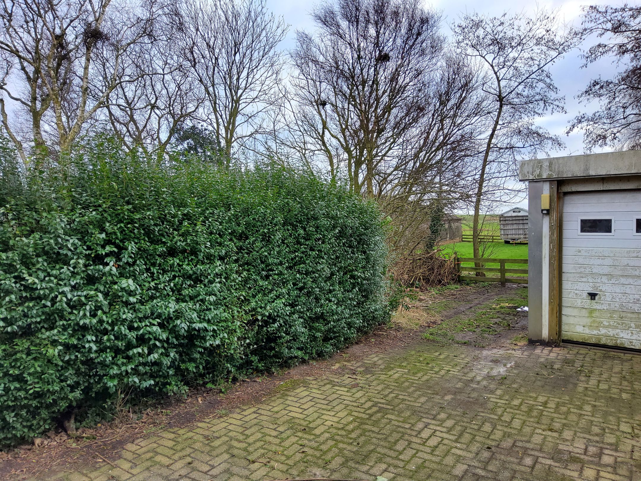 Photo 6 of Oost 38