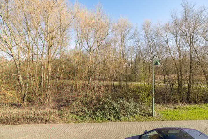 Foto 16 van Ambon 40