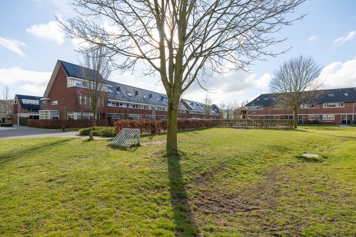 Foto 47 van Ambon 40