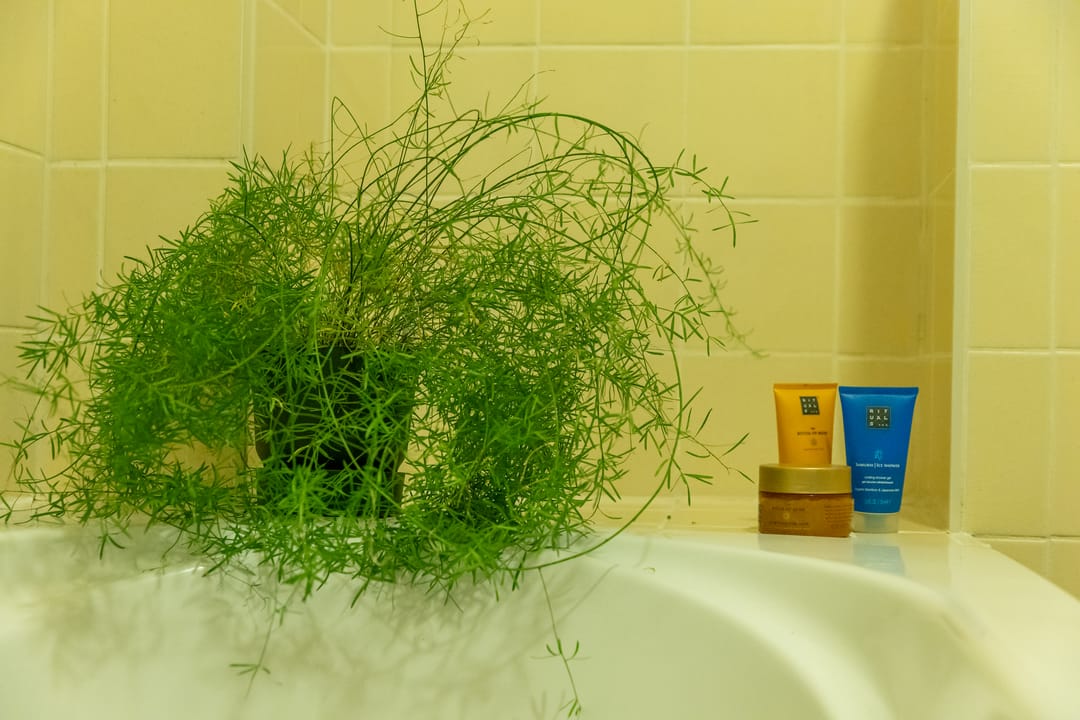 Foto 17 van Buttervin 69