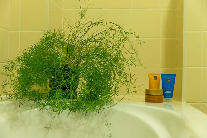 Photo 17 of Buttervin 69