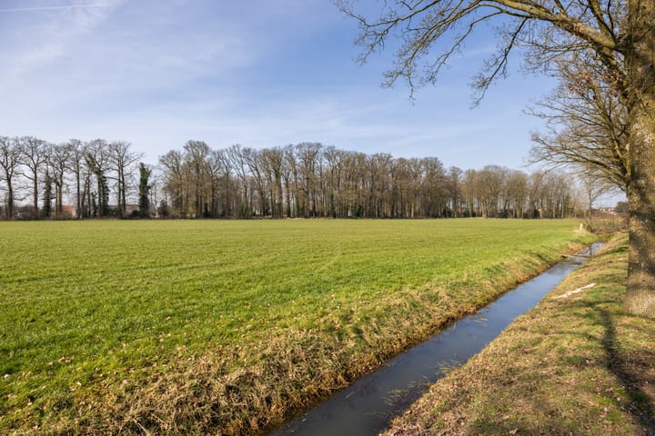 Foto 26 van Fluitekruidlaan 12