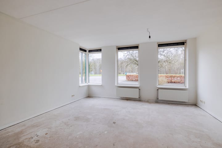 Foto 3 van Grasland 62