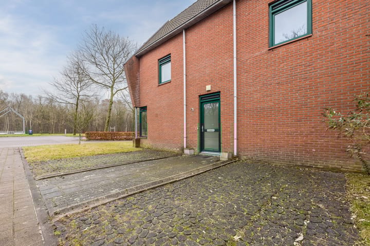 Foto 5 van Grasland 62